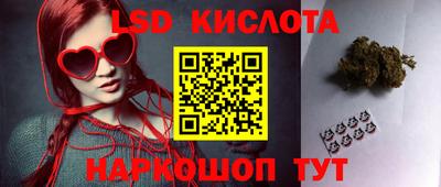 spice Заволжье