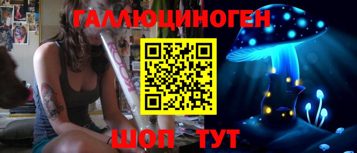 купить закладку  Галлюциногенные грибы Psilocybine cubensis  Вход с VPN  Кизляр  Галлюциногенные грибы мицелий 