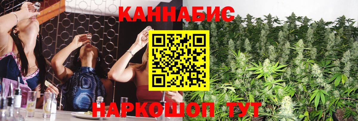 Каннабис White Widow  Каннабис индика  Каннабис THC 21%  Вход с VPN  Канабис ГИДРОПОН  Кизляр 